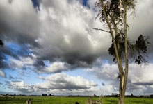 墨西哥对阵波兰，这场世界杯小组赛比分会如何？